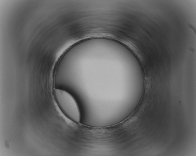 X0000103501046200809121008