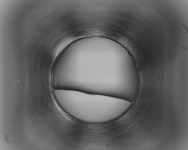 X0000103501047200809121008