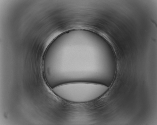 X0000103501048200809121008