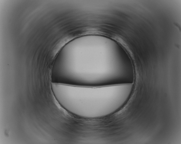 X0000103501049200809121008