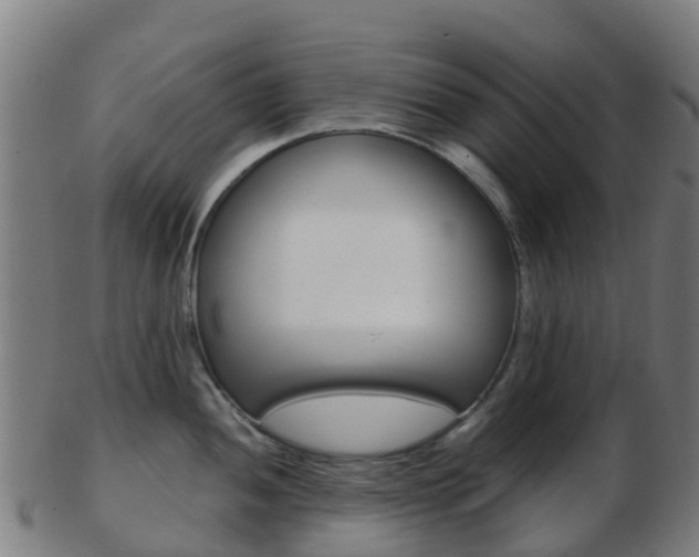 X0000103501052200809121008