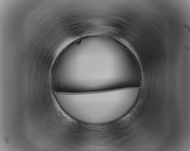 X0000103501053200809121008