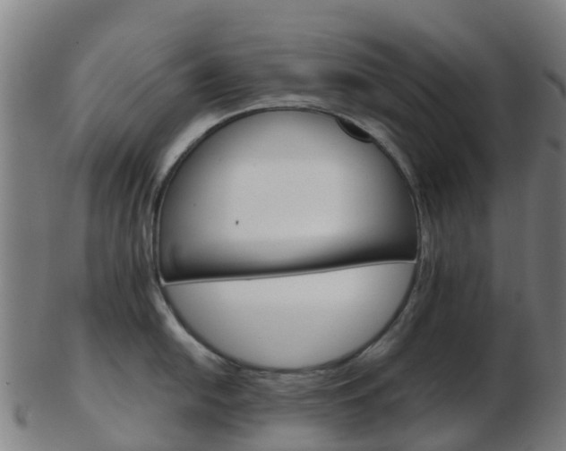 X0000103501054200809121008