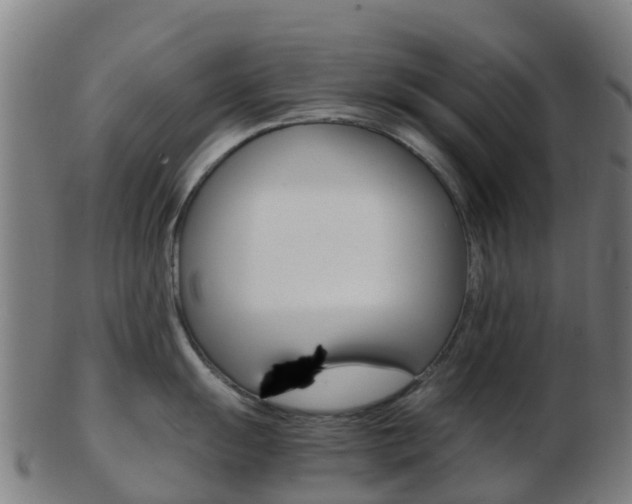 X0000103501055200809121008