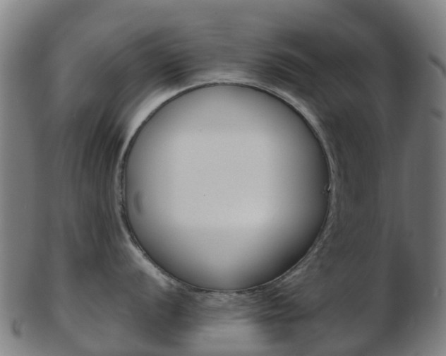 X0000103501056200809121008
