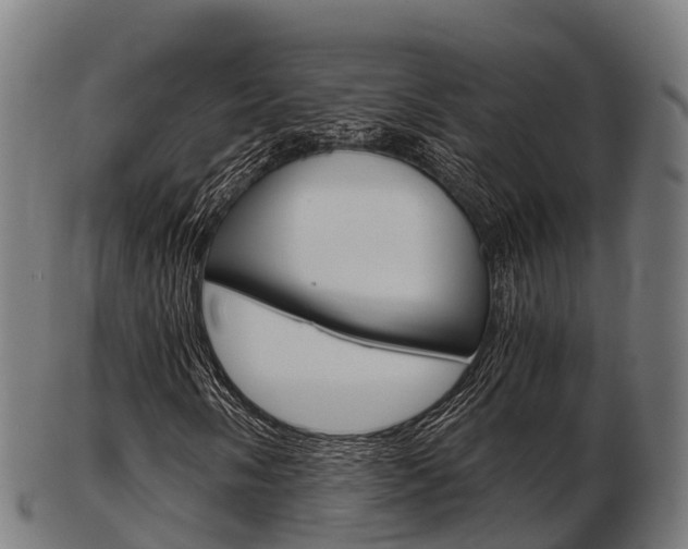 X0000103501058200809121007