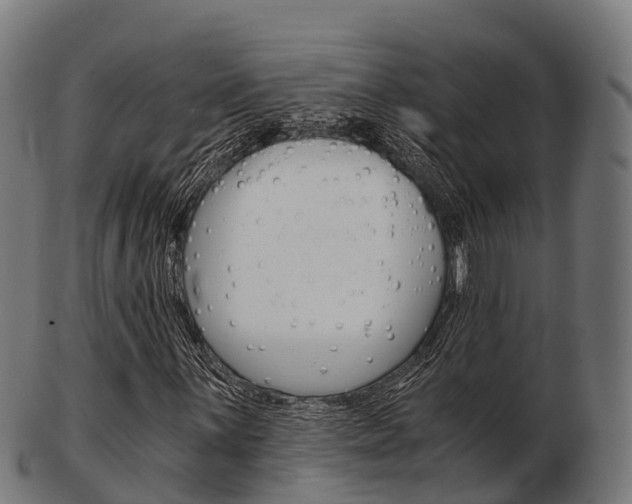 X0000103501059200809121007