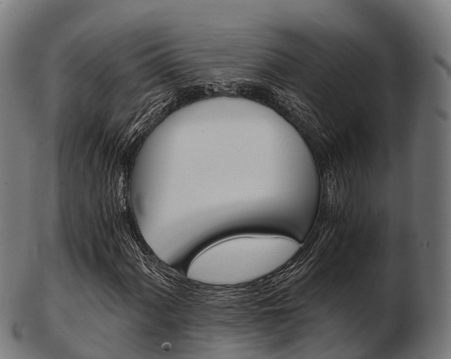 X0000103501060200809121007