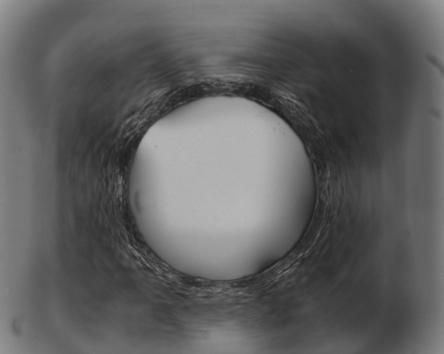 X0000103501061200809121007