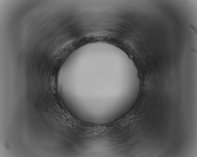 X0000103501062200809121007
