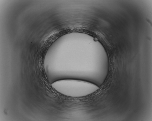 X0000103501063200809121007