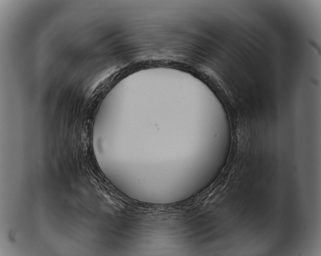 X0000103501064200809121007