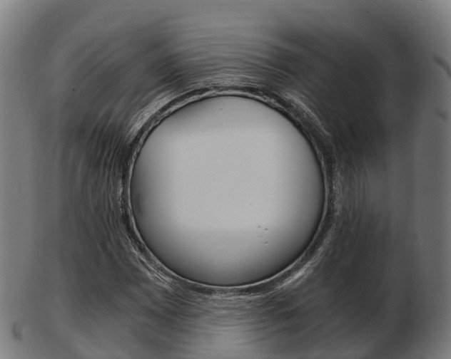 X0000103501065200809121007