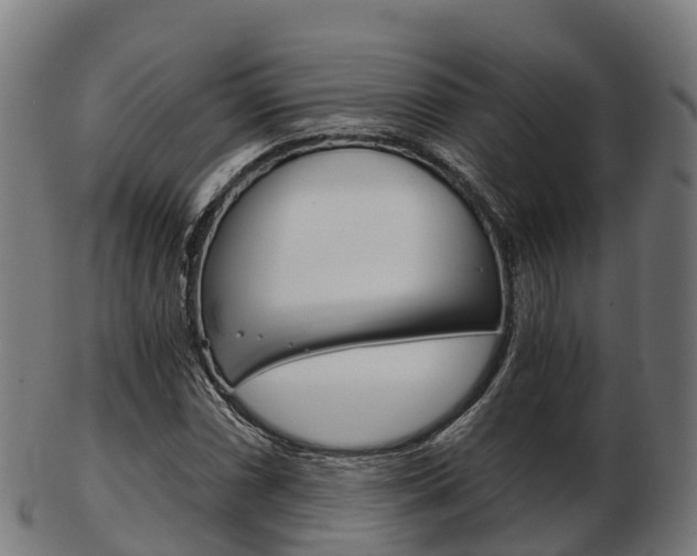 X0000103501066200809121007