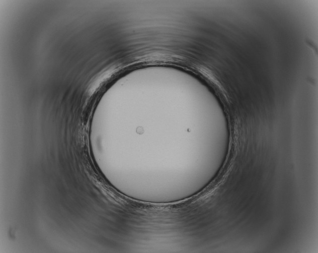 X0000103501067200809121007