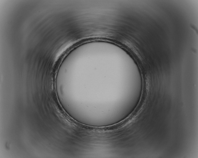 X0000103501069200809121007