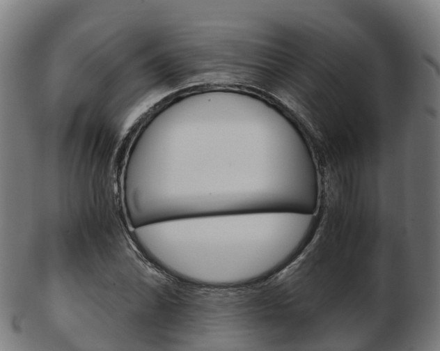 X0000103501070200809121007