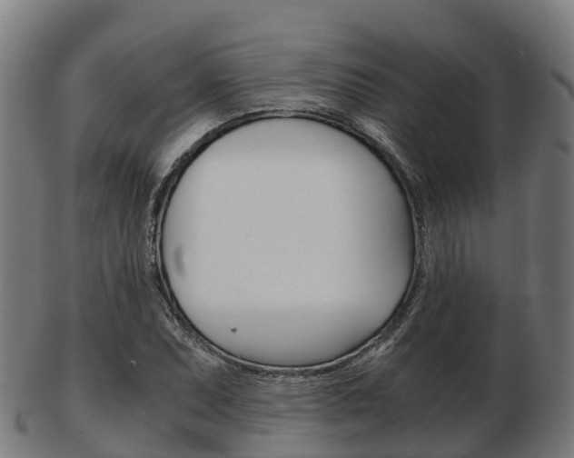 X0000103501071200809121007