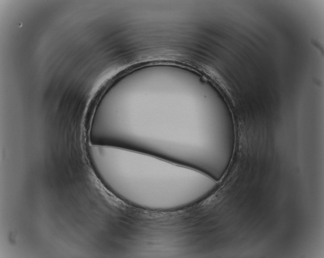 X0000103501072200809121007