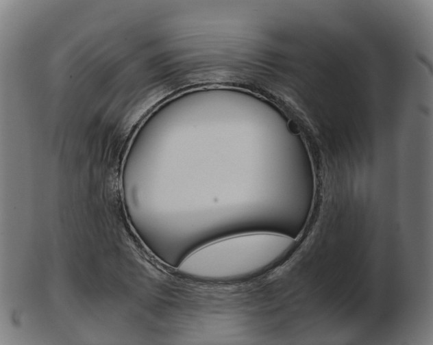 X0000103501073200809121007