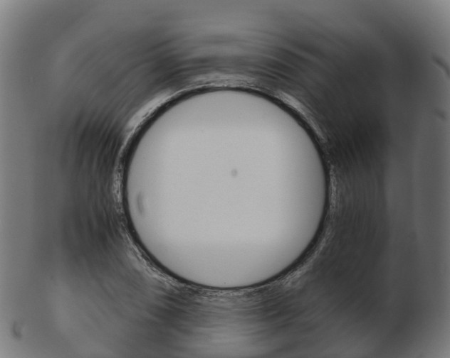 X0000103501074200809121007