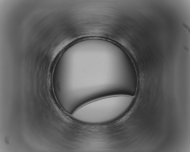 X0000103501077200809121007