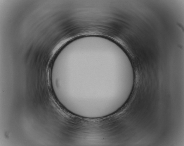 X0000103501078200809121007