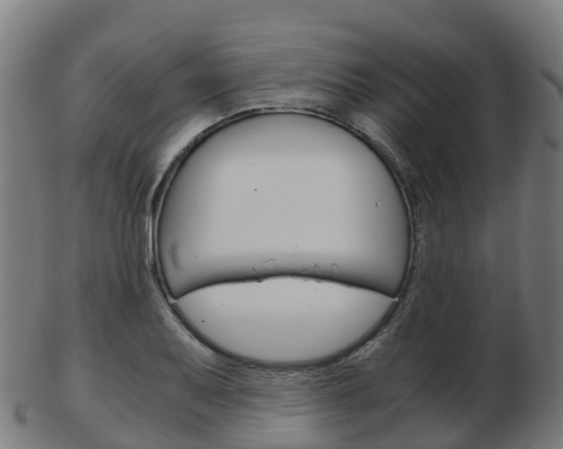 X0000103501079200809121007