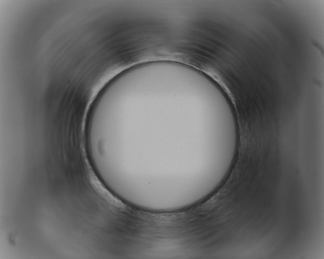 X0000103501080200809121007