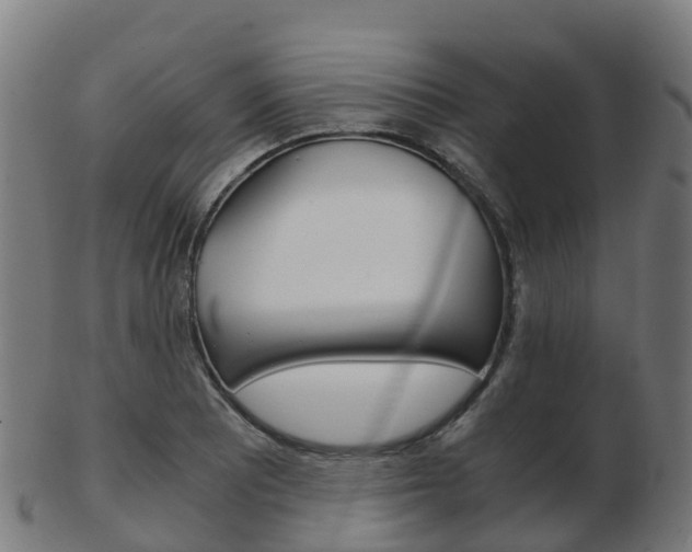 X0000103501081200809121007