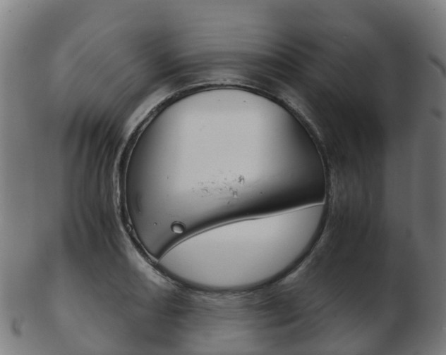 X0000103501082200809121007