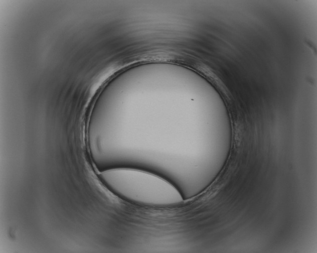 X0000103501083200809121007