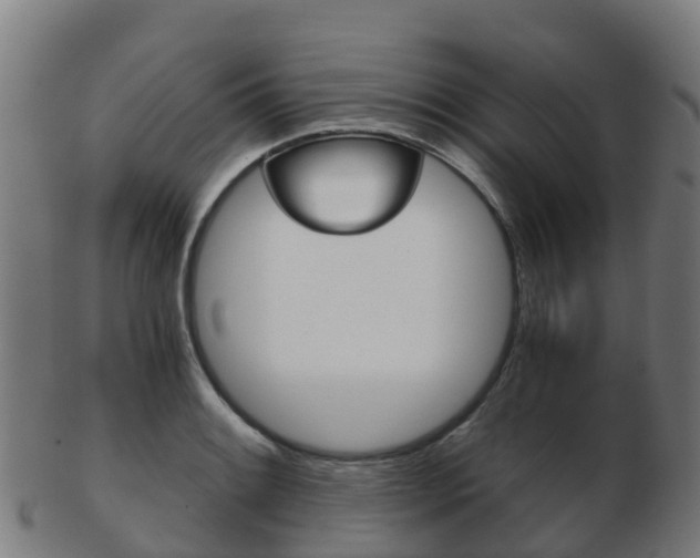 X0000103501084200809121007