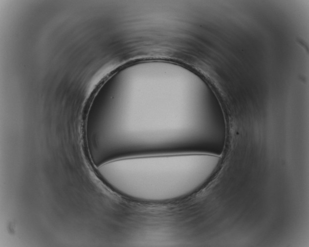 X0000103501085200809121007