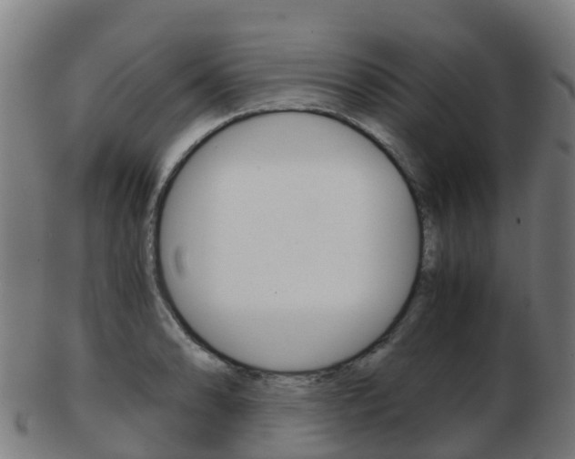 X0000103501086200809121007