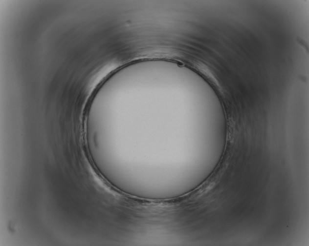 X0000103501087200809121007