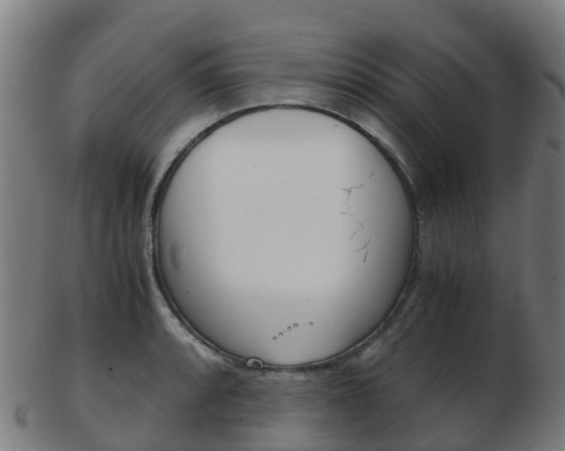 X0000103501088200809121007