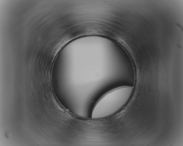 X0000103501089200809121007