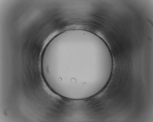 X0000103501090200809121007
