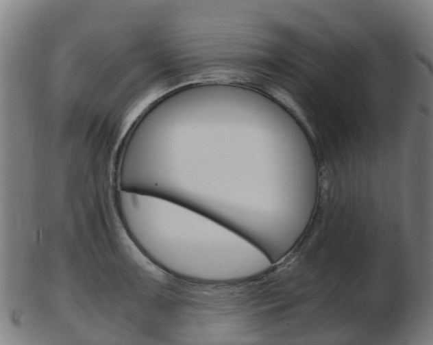 X0000103501091200809121007