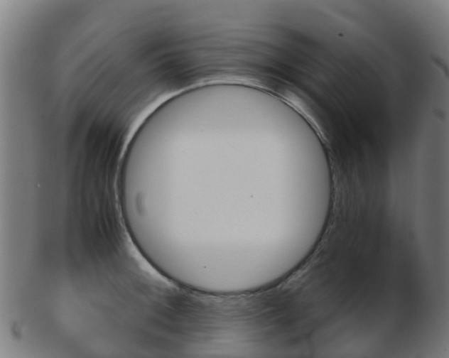 X0000103501092200809121007