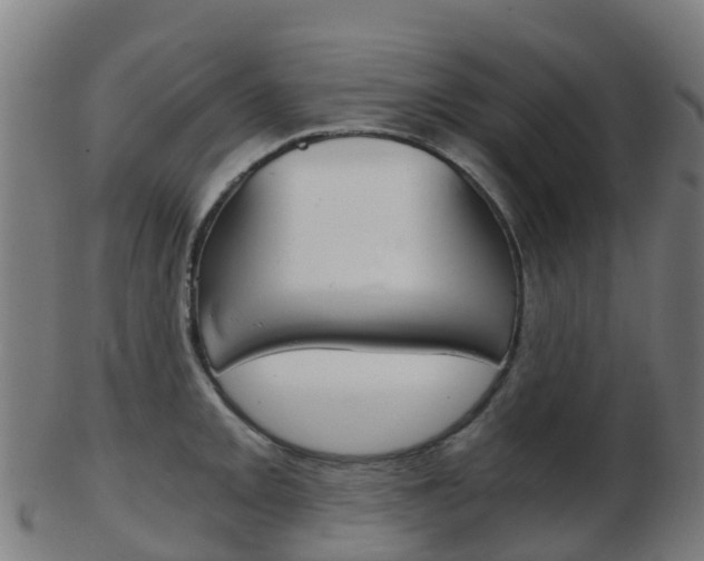 X0000103501093200809121007