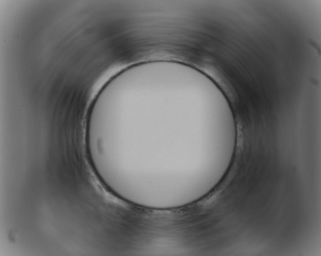 X0000103501094200809121007