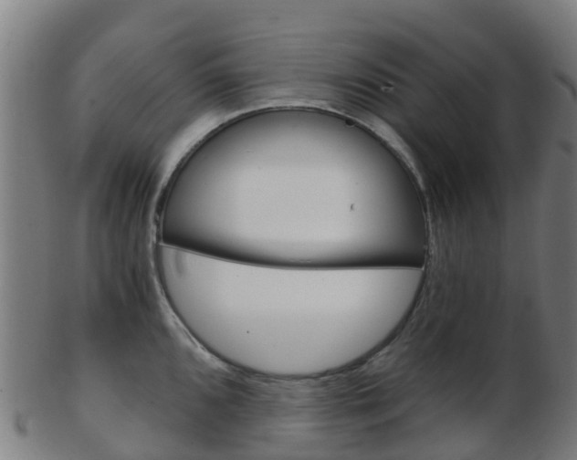 X0000103501096200809121007