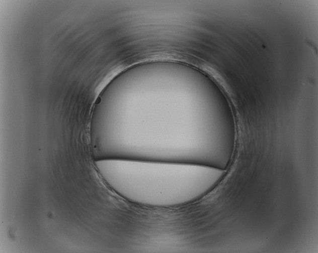 X0000103501097200809121007