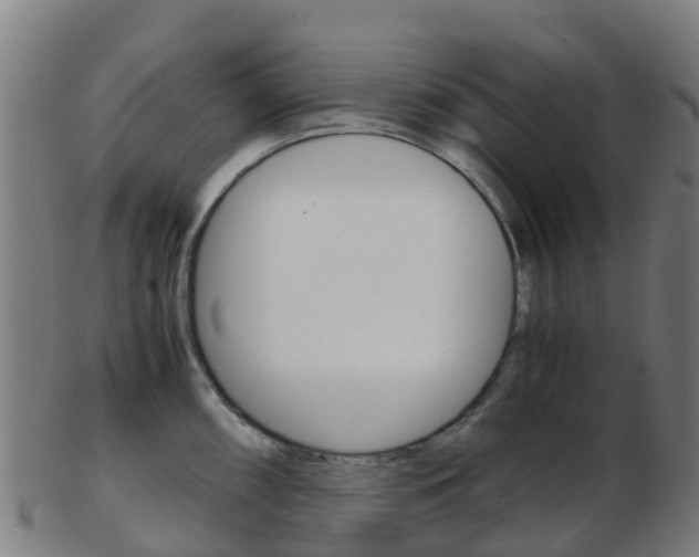 X0000103501098200809121007