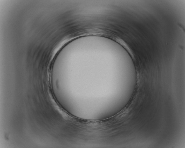 X0000103501099200809121007