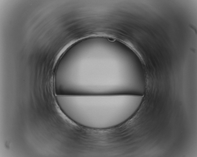 X0000103501100200809121007