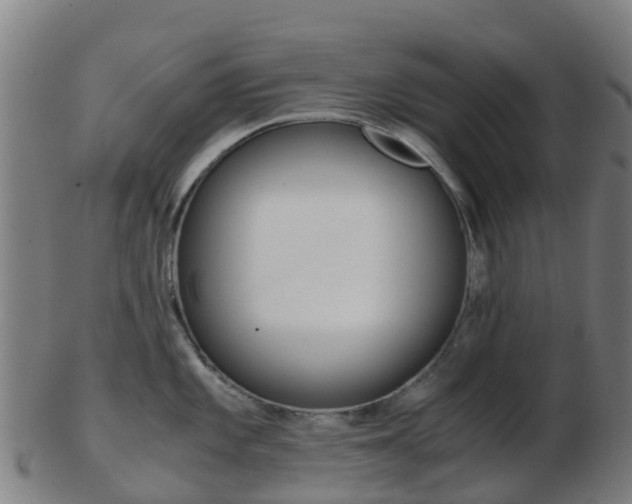 X0000103501101200809121007