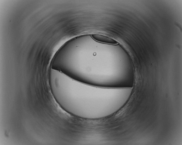 X0000103501102200809121007